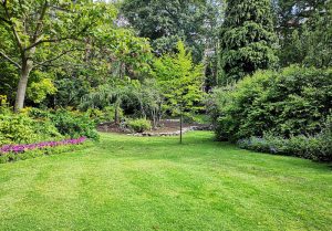 Optimiser l'expérience du jardin à L'Albenc