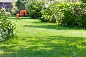 travaux jardin et paysage L'Albenc